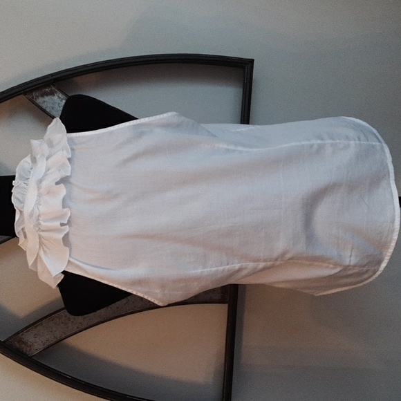 SUNNY LEIGH Light Cotton Sleeveless Ruffled Collar Fitted Blouse - Picture 7 of 12